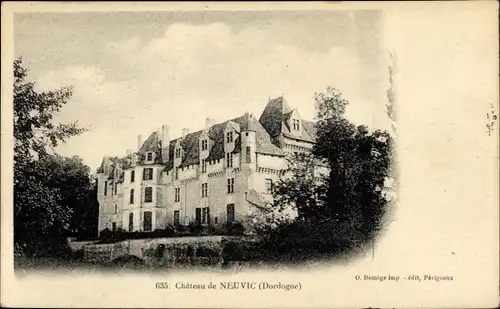 Ak Neuvic Dordogne, Chateau