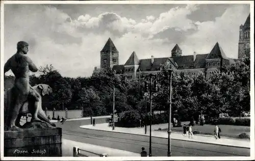 Ak Poznań Posen, Schloss