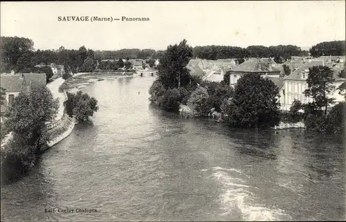 Ak Sauvage Marne, Panorama