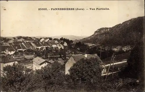 Ak Pannessières Jura, Teilansicht