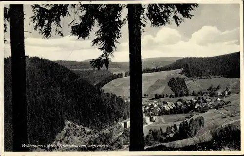 Ak Wildemann Clausthal Zellerfeld im Oberharz, Panorama vom Galgenberg aus