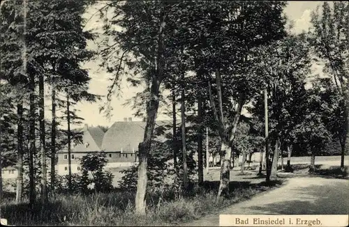 Ak Einsiedel Seiffen im Erzgebirge, Dorfpartie, Allee