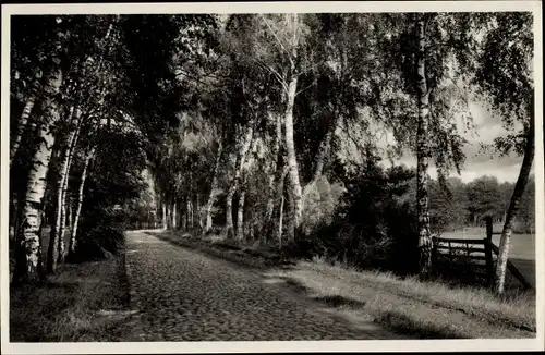 Ak Pritzwalk in der Prignitz, Hainholz Promenade