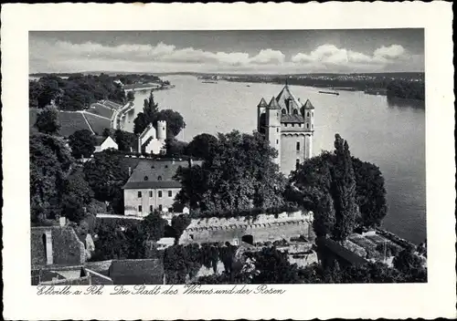 Ak Eltville am Rhein Hessen, Teilansicht, Schloss