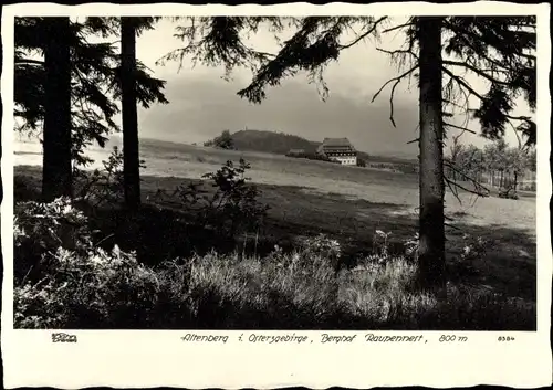 Ak Altenberg Osterzgebirge, Panorama, Berghof Raupennest, Walter Hahn 8384