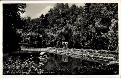 Ak Polczyn Zdrój Bad Polzin Pommern, Karpfenteich