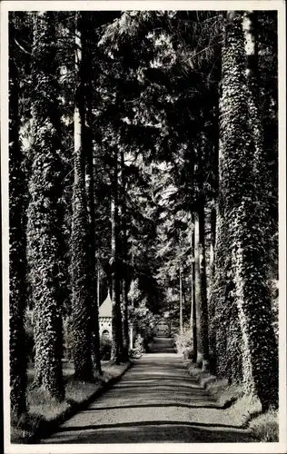 Ak Polczyn Zdrój Bad Polzin Pommern, Kurpark