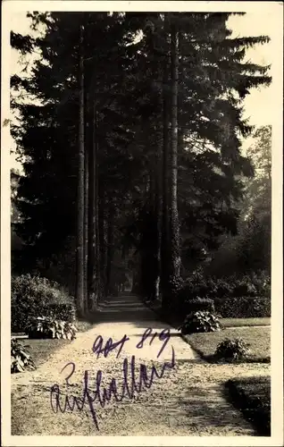 Foto Polczyn Zdrój Bad Polzin Pommern, Kurpark, Allee