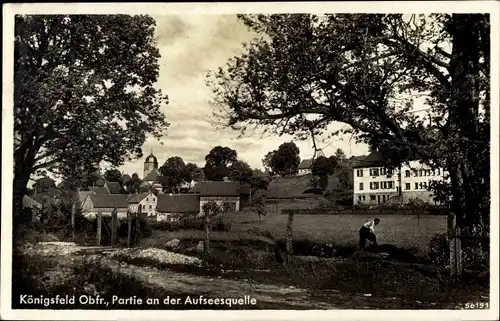 Ak Königsfeld in Oberfranken, Aufseesquelle