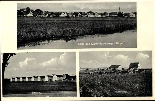 Ak Memmingerberg Schwaben Unterallgäu, Kuhweide, Siedlung, Totalansicht