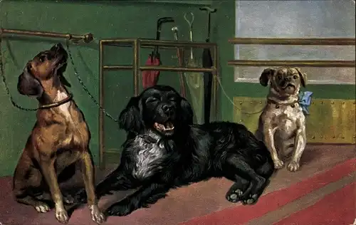 Künstler Ak Drei Hunde, schwarzer liegend, kleiner Hund mit Schleife, Regenschirm