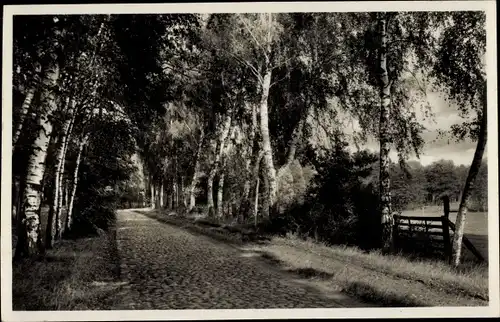 Ak Pritzwalk in der Prignitz, Hainholz Promenade