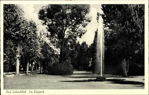 Ak Bad Salzschlirf in Hessen, Kurpark