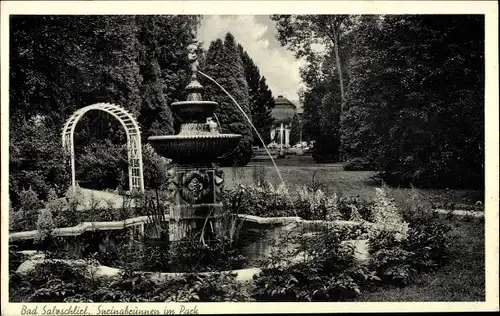 Ak Bad Salzschlirf in Hessen, Kurpark, Springbrunnen