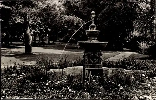 Ak Bad Salzschlirf in Hessen, Kurpark, Springbrunnen