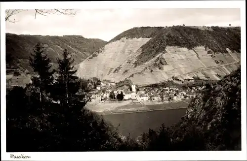 Ak Moselkern an der Mosel, Gesamtansicht