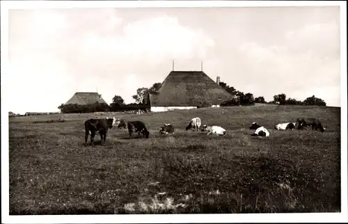 Ak Halbinsel Eiderstedt in Nordfriesland, Marschlandschaft