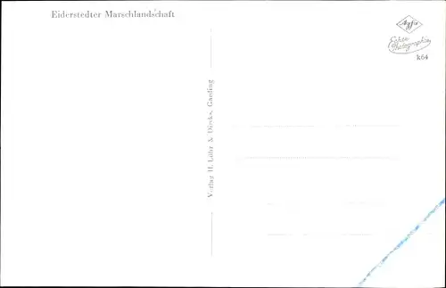 Ak Halbinsel Eiderstedt in Nordfriesland, Marschlandschaft