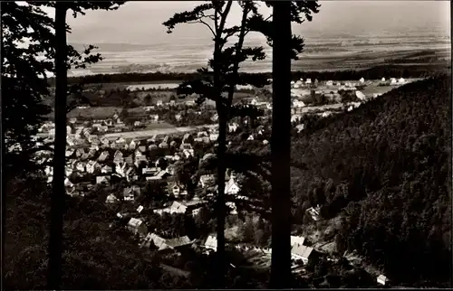 Ak Bad Harzburg am Harz, Gesamtansicht