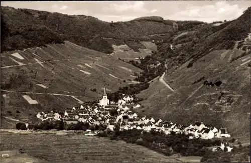 Ak Senheim an der Mosel, Gesamtansicht