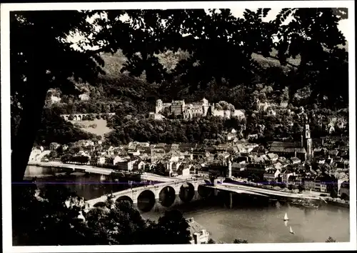 Ak Heidelberg am Neckar, Park Hotel Haarlass, Panorama