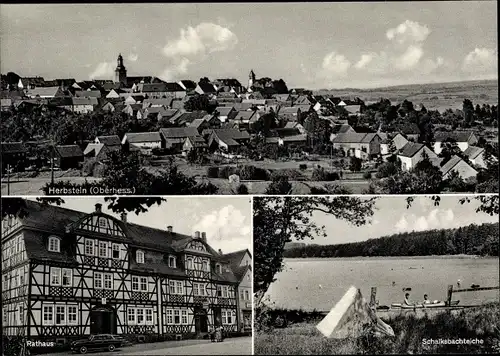 Ak Herbstein Hessen, Gesamtansicht, Rathaus, Schalksbachteiche