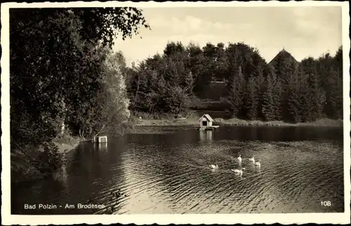 Ak Polczyn Zdrój Bad Polzin Pommern, Brodesee, Schwäne