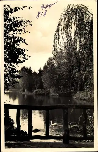 Foto Polczyn Zdrój Bad Polzin Pommern, Brodesee, Schwäne