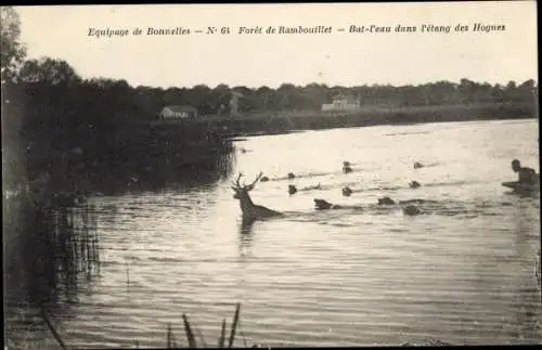 Ak Rambouillet Yvelines, Foret, Bat l'eau dans l'etang des Houges