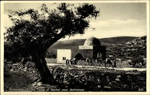 Ak Betlehem Palästina, The Tomb of Rachel, Rachels Grab, Kamele