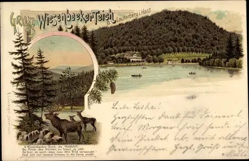 Litho Bad Lauterberg im Harz, Wiesenbeeker Teich, Hirsch