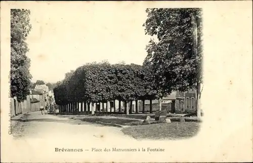 Ak Brevannes Val de Marne, Place des Marronniers a la Fonrtaine