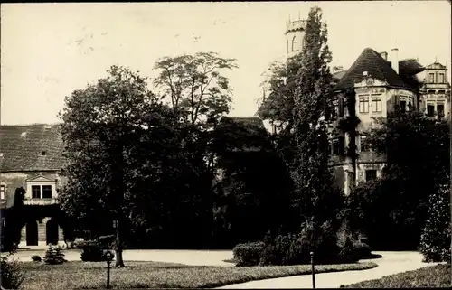 Foto Ak Droyßig im Burgenlandkreis, Gartenpartie