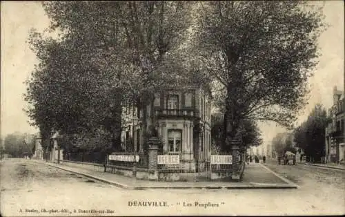 Ak Deauville Calvados, Les Pleupliers