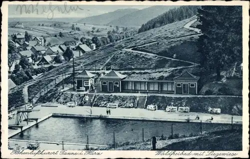 Ak Tanne Oberharz am Brocken, Waldfreibad mit Liegewiese