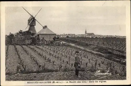 Ak Beaulieu sur Layon Maine et Loire, Le Moulin des Cinq, Dans les Vignes