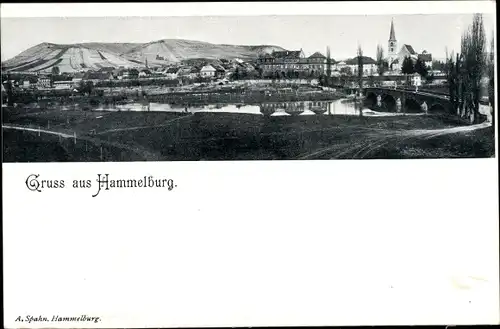 Ak Hammelburg in Unterfranken Bayern, Panorama