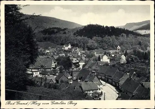 Ak Bad Grund im Harz, Gittelder Berg, Teilansicht