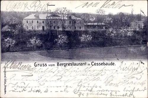 Ak Dresden Cossebaude, Bergrestaurant