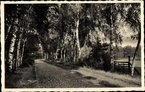 Ak Pritzwalk in der Prignitz, Hainholz Promenade