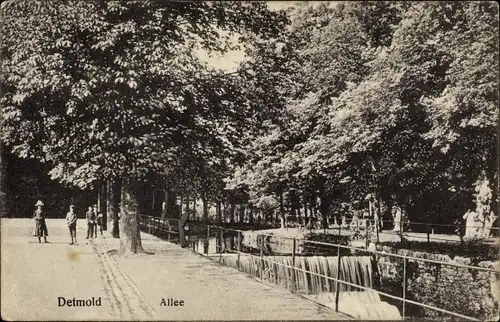 Ak Detmold in Nordrhein Westfalen, Allee