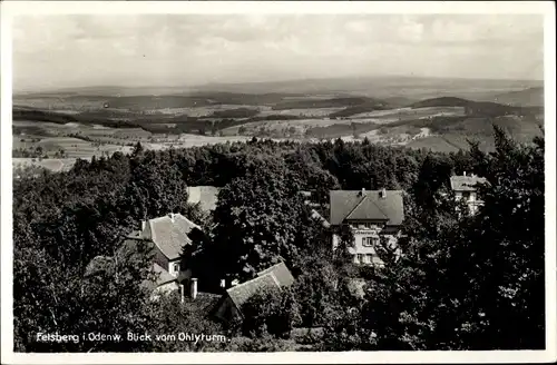 Ak Felsberg in Hessen, Panorama v. Ohlyturm