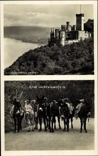 Ak Stolzenfels Koblenz am Rhein, Schloss, Esel