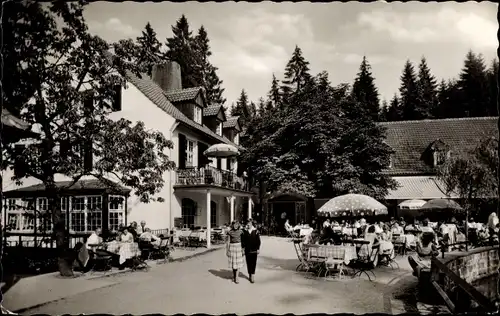 Ak Leopoldstal Horn Bad Meinberg am Teutoburger Wald, Silbermühle, Terrassenpartie