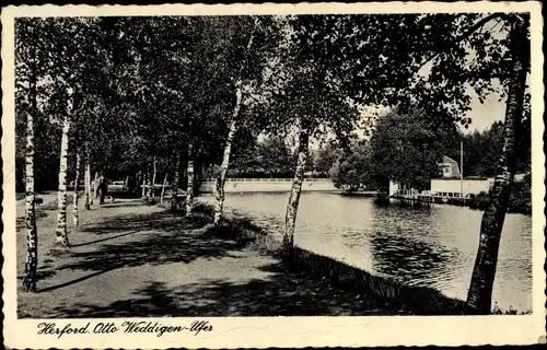 Ak Herford, Otto Weddigen Ufer, Allee, Gasthof am See