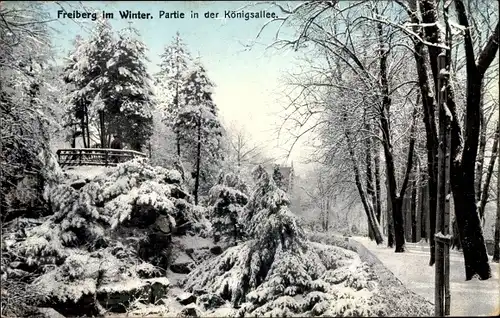 Ak Freiberg in Sachsen, Partie in der Königsallee im Winter