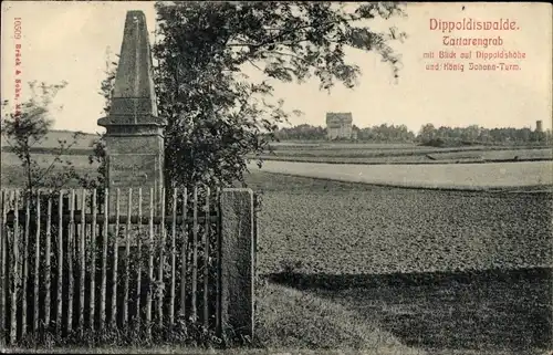 Ak Dippoldiswalde im Erzgebirge, Tartarengrab, Dippoldshöhe, König Johann Turm