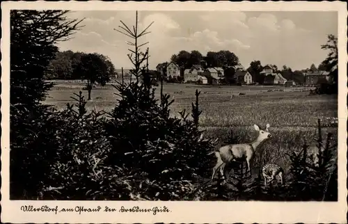 Ak Ullersdorf Radeberg in Sachsen, Blick auf den Ort, Dresdner Heide, Rehe