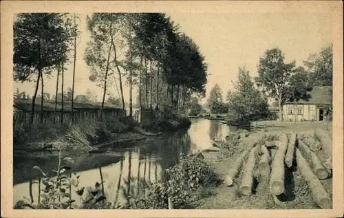 Ak Schlepzig Unterspreewald, Landschaft, Baumstämme