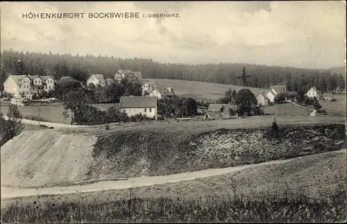 Ak Hahnenklee Bockswiese Goslar im Harz, Gesamtansicht